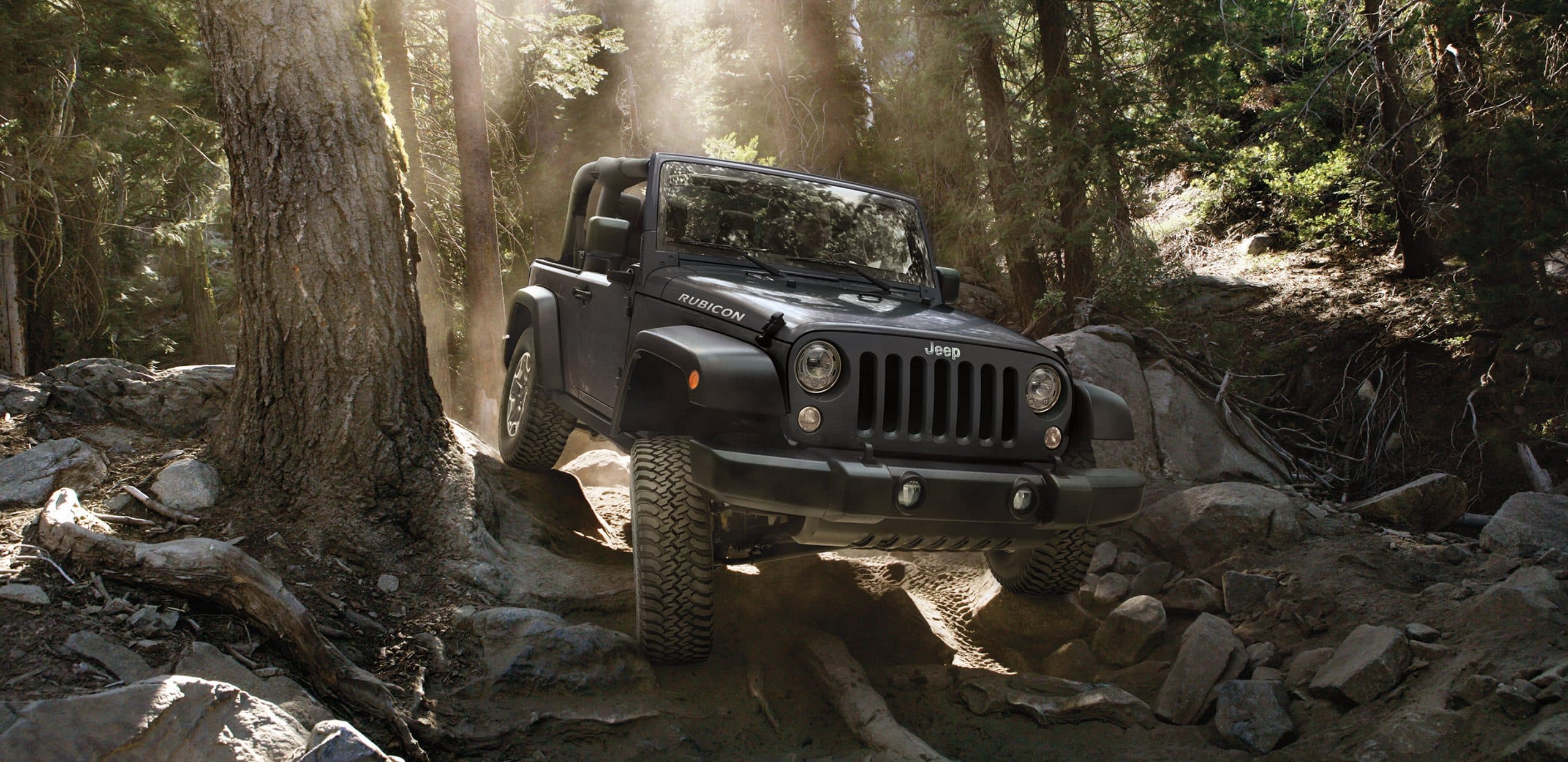 2019 Jeep Scrambler Offroad in Forest uhd wallpaper