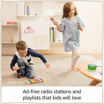 Echo Dot Kids Edition, a smart speaker with Alexa for kids - blue case - 6