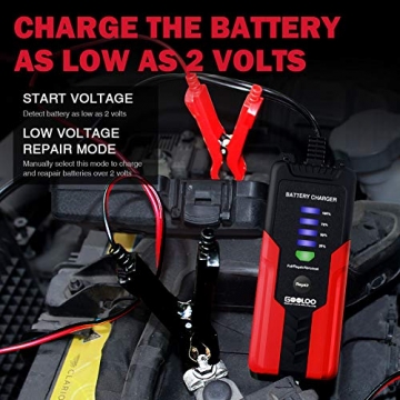 GOOLOO 2Amp Smart 12V Battery Charger, Battery Maintainer, Fully-Automatic Battery Desulfator for Motor Boat Truck Lawn Mower RV AGM GEL - 3